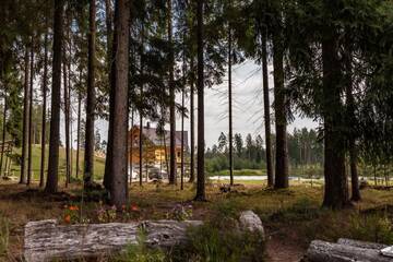 Фото номера Дом для отпуска Дома для отпуска Metsjärve Accommodation г. Puskaru 44